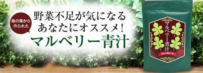 �K�̗t������ꂽ�u�}���x���[�`�v���T�C�g